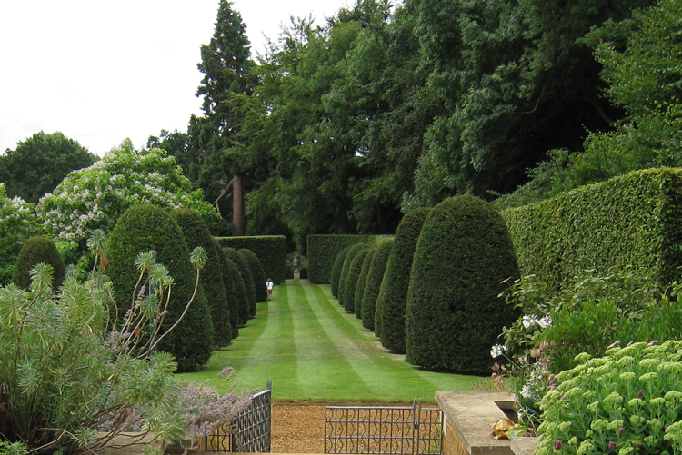 Clipped Yew and a beautifully mown lawn for winter structure- Caroline Benedict Smith Garden Design Cheshire