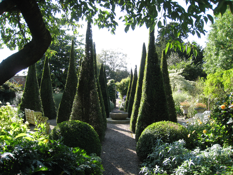Clipped Yew in Wollerton Old Hall - Caroline Benedict Smith Garden Design Cheshire